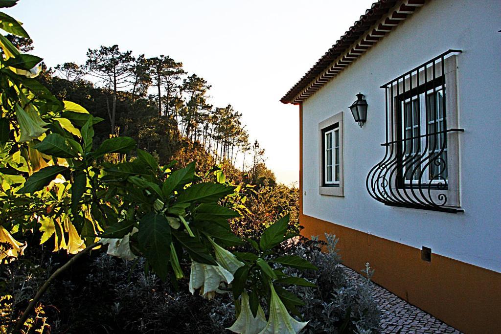 Quinta Da Torre - Obidos Country House Exteriér fotografie