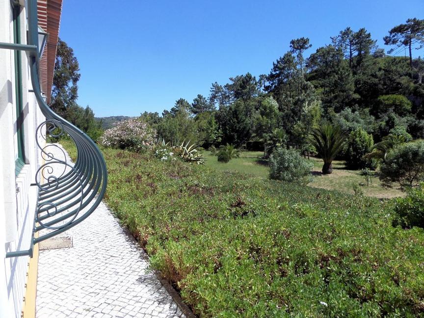 Quinta Da Torre - Obidos Country House Exteriér fotografie